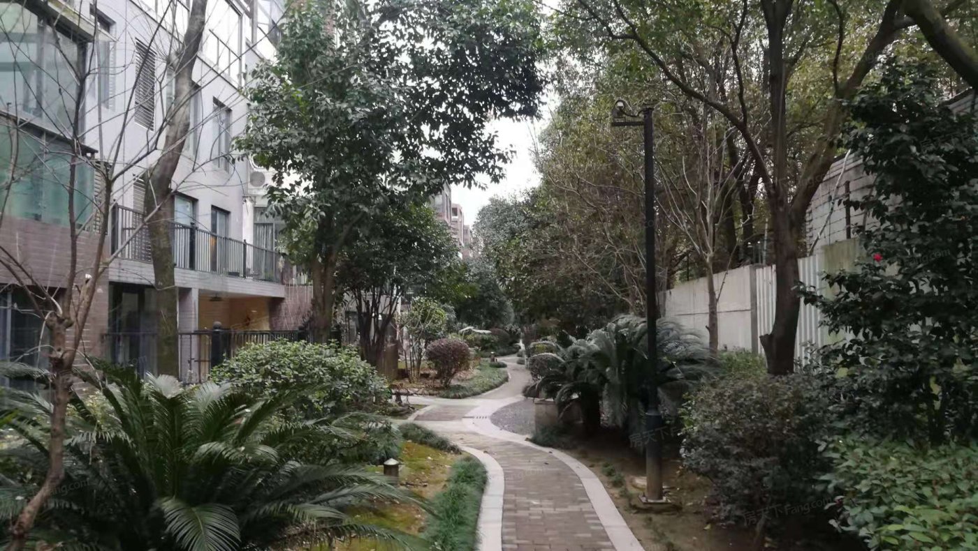 金地国际公馆实景图