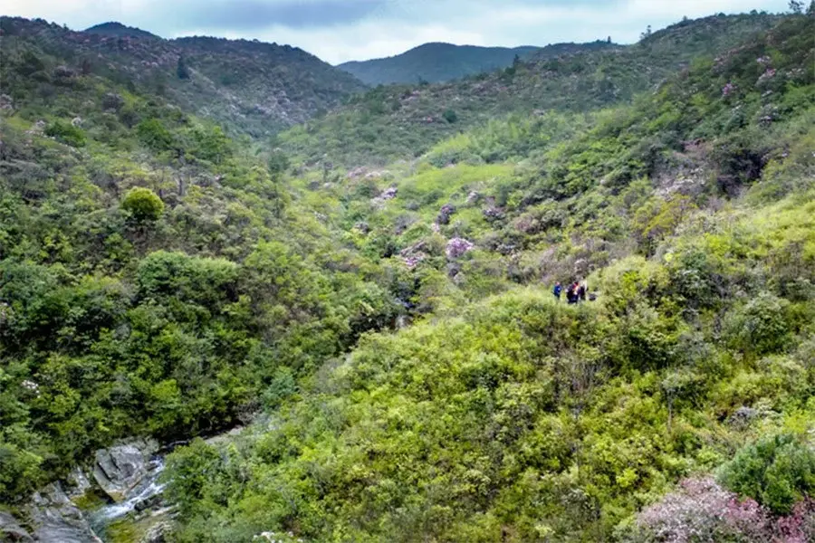 云上居