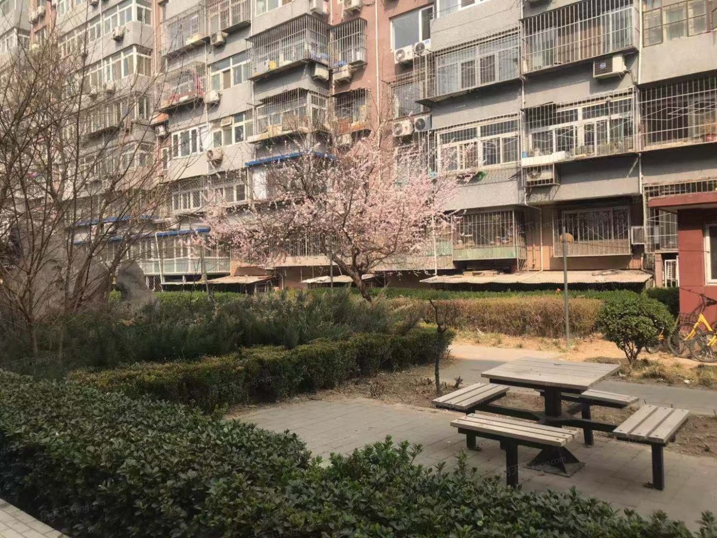 复兴路79号院2室1厅1卫西南朝向7000.00元/月出租