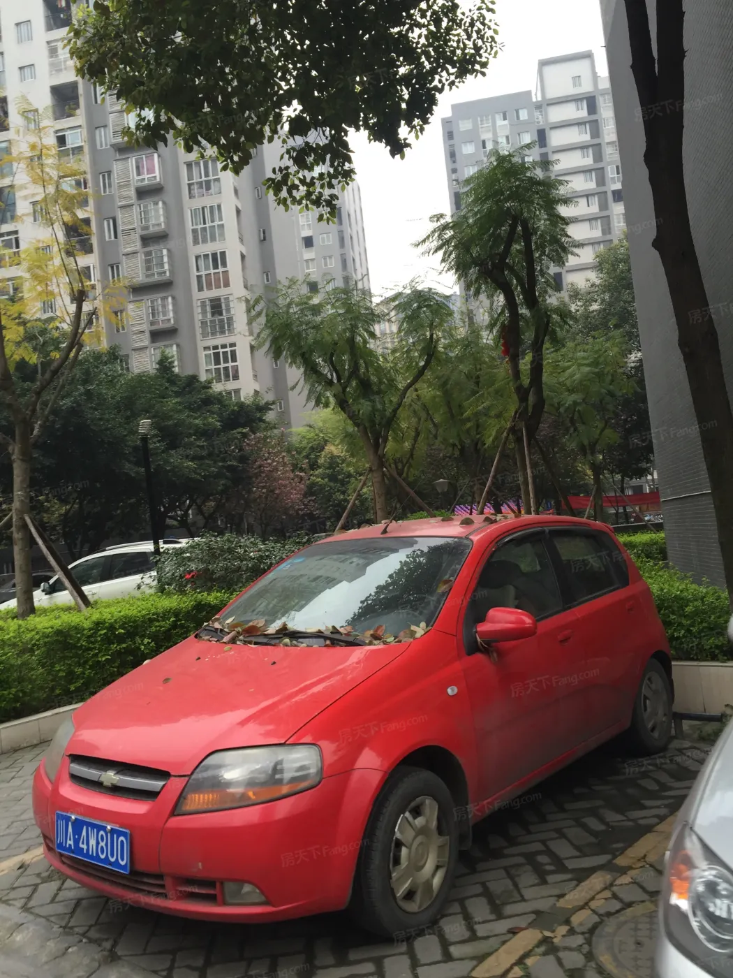 双桂社区36号院 2室 2厅 50.1平米