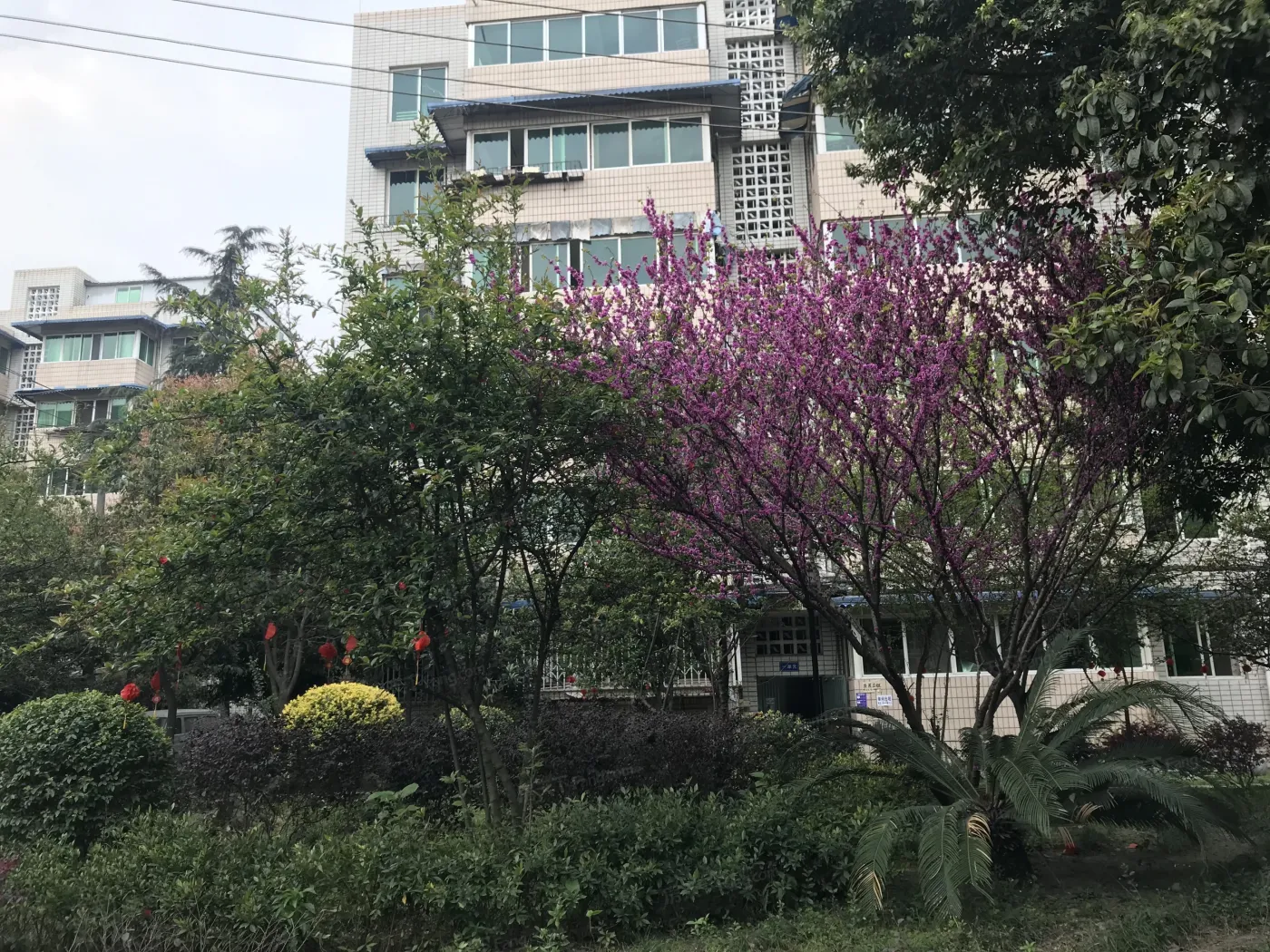 光华里1室1厅1卫东朝向1400.00元/月出租