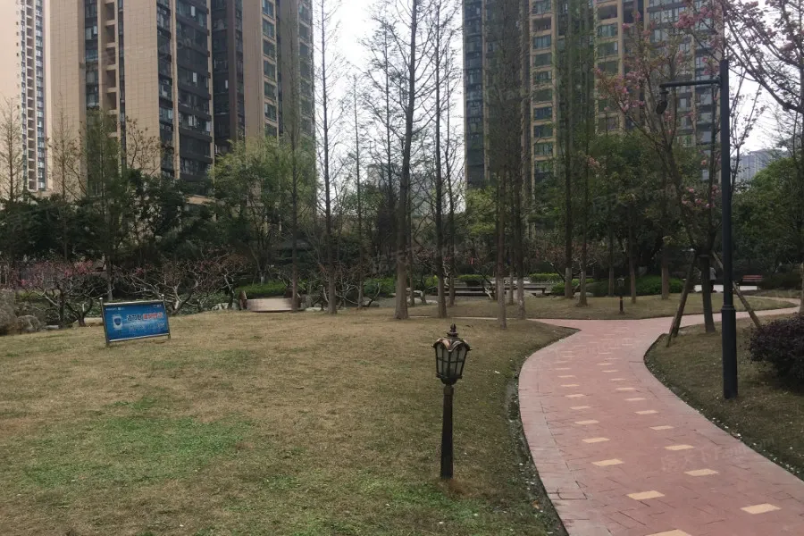 蓝光COCO国际2室1厅1卫南朝向2200.00元/月出租