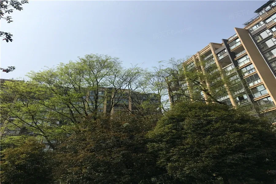 金沙名庭2室1厅1卫东南朝向4200.00元/月出租
