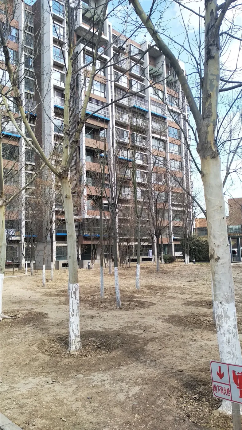 整租·亦庄河西区·泰河园四里一区·2室