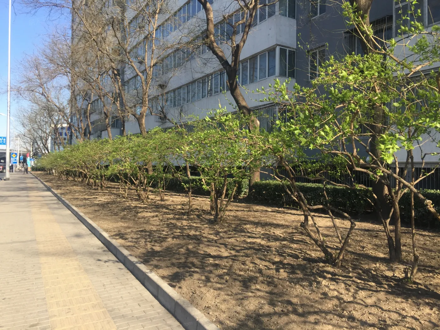 德胜门西大街64号2室1厅1卫南朝向7800.00元/月出租