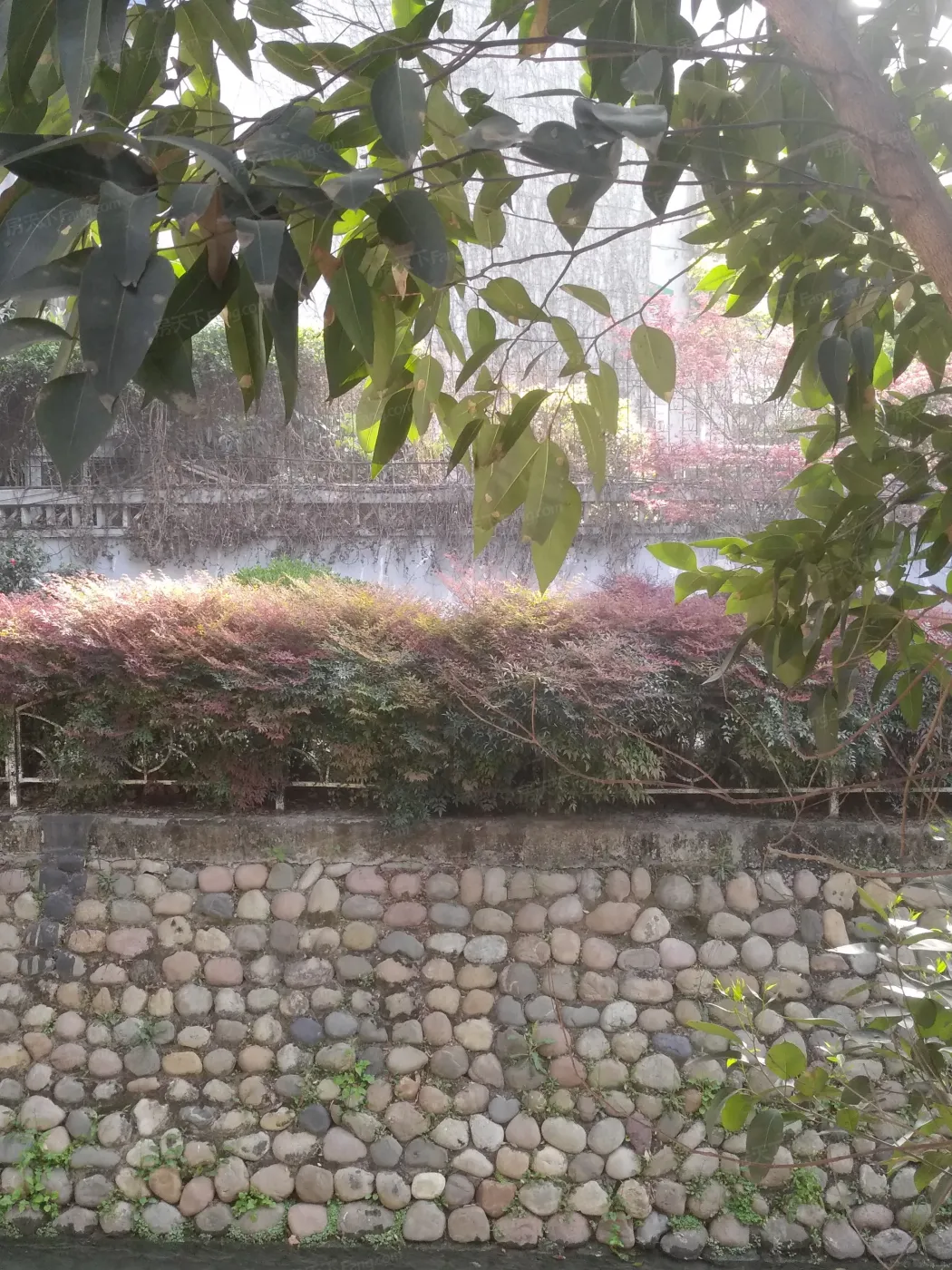 整租·和贵蜜巢1室1厅