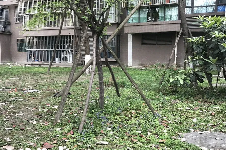 楠庭理想1室1厅1卫南朝向2300.00元/月出租