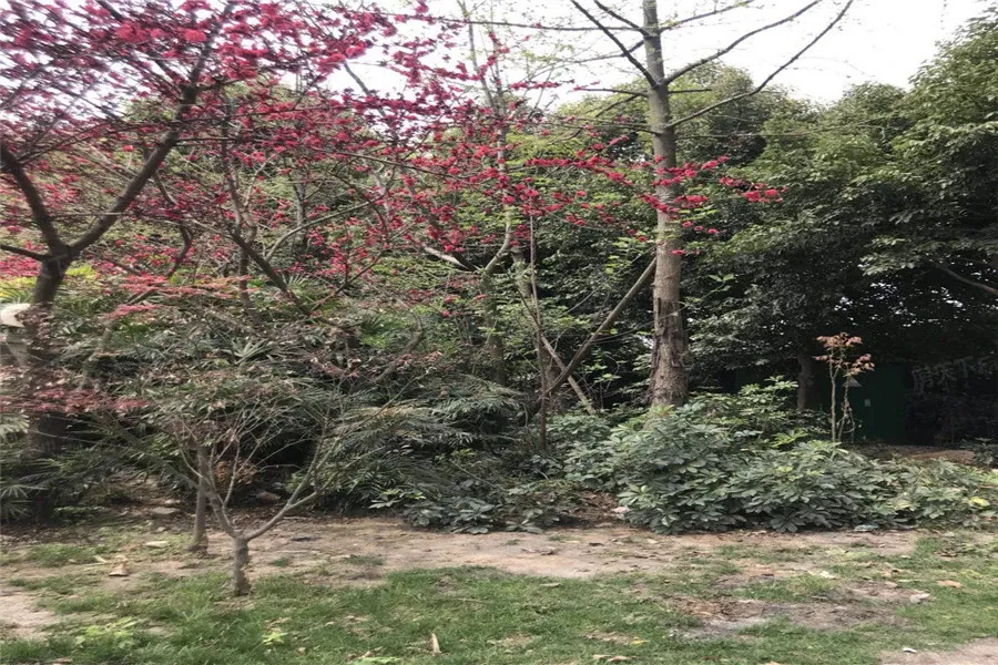 上东阳光四期3室1厅1卫东南朝向2300.00元/月出租