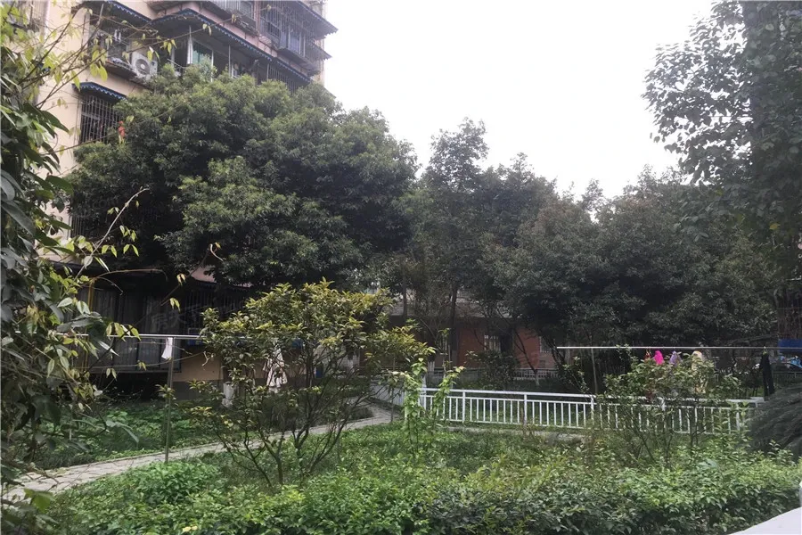 关家社区2室1厅1卫东南朝向1600.00元/月出租