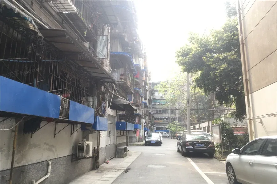 桃源街社区1室1厅1卫东朝向1300.00元/月出租