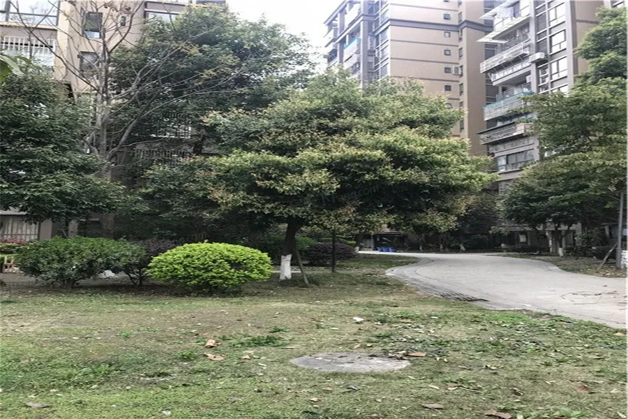 银泰香樟林2室1厅1卫东南朝向4600.00元/月出租