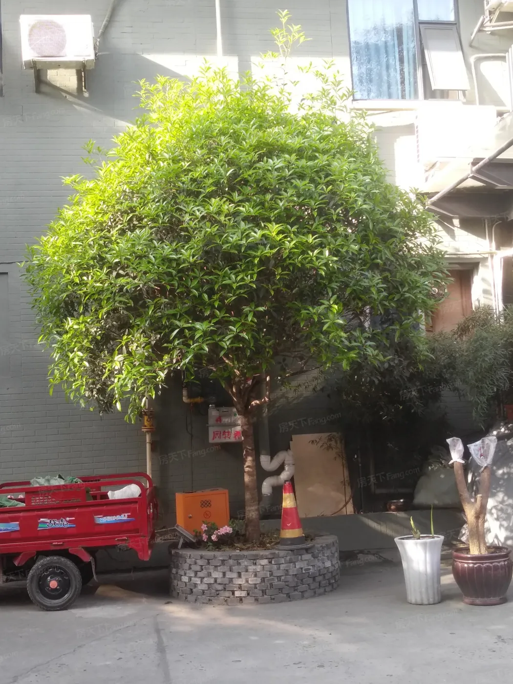 和贵蜜巢1室1厅1卫东北朝向2500.00元/月出租