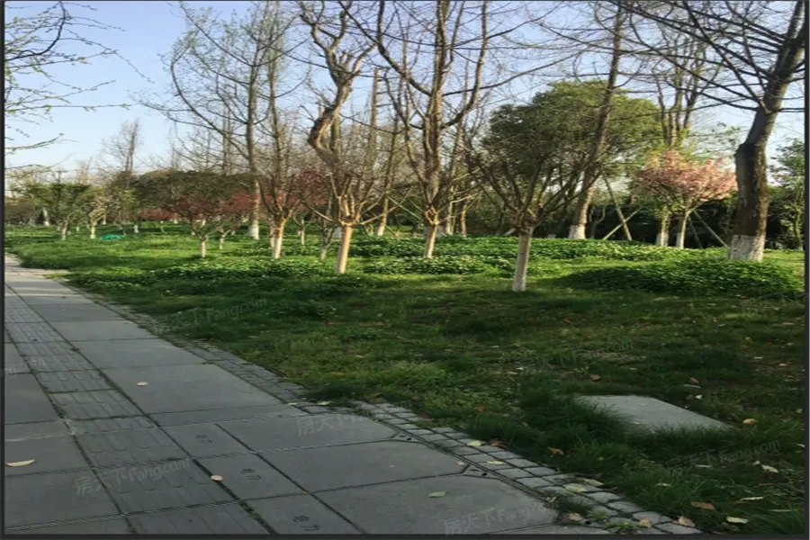 微时代实景图
