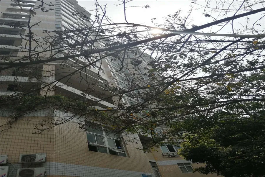 棕南俊园4室2厅1卫东朝向6000.00元/月出租