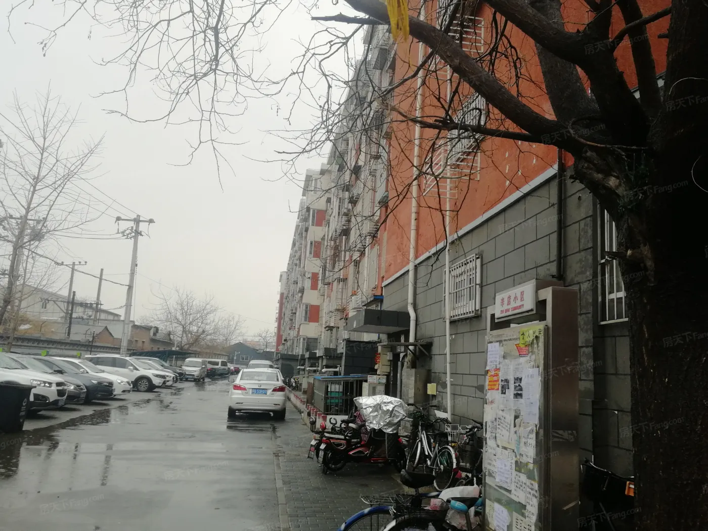 整租·观音寺·辛店小区·1室