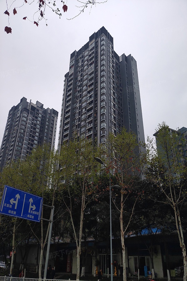 华宇西城丽景b区楼盘外观6