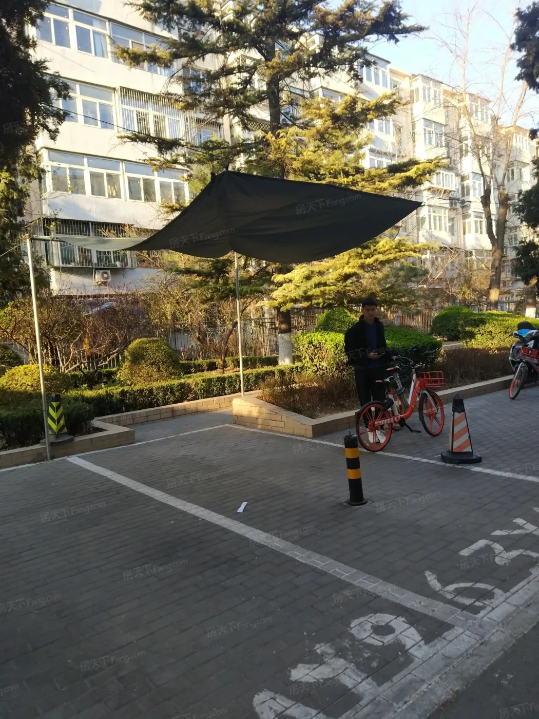 团结湖中路南一条1室1厅1卫南朝向4700.00元/月出租