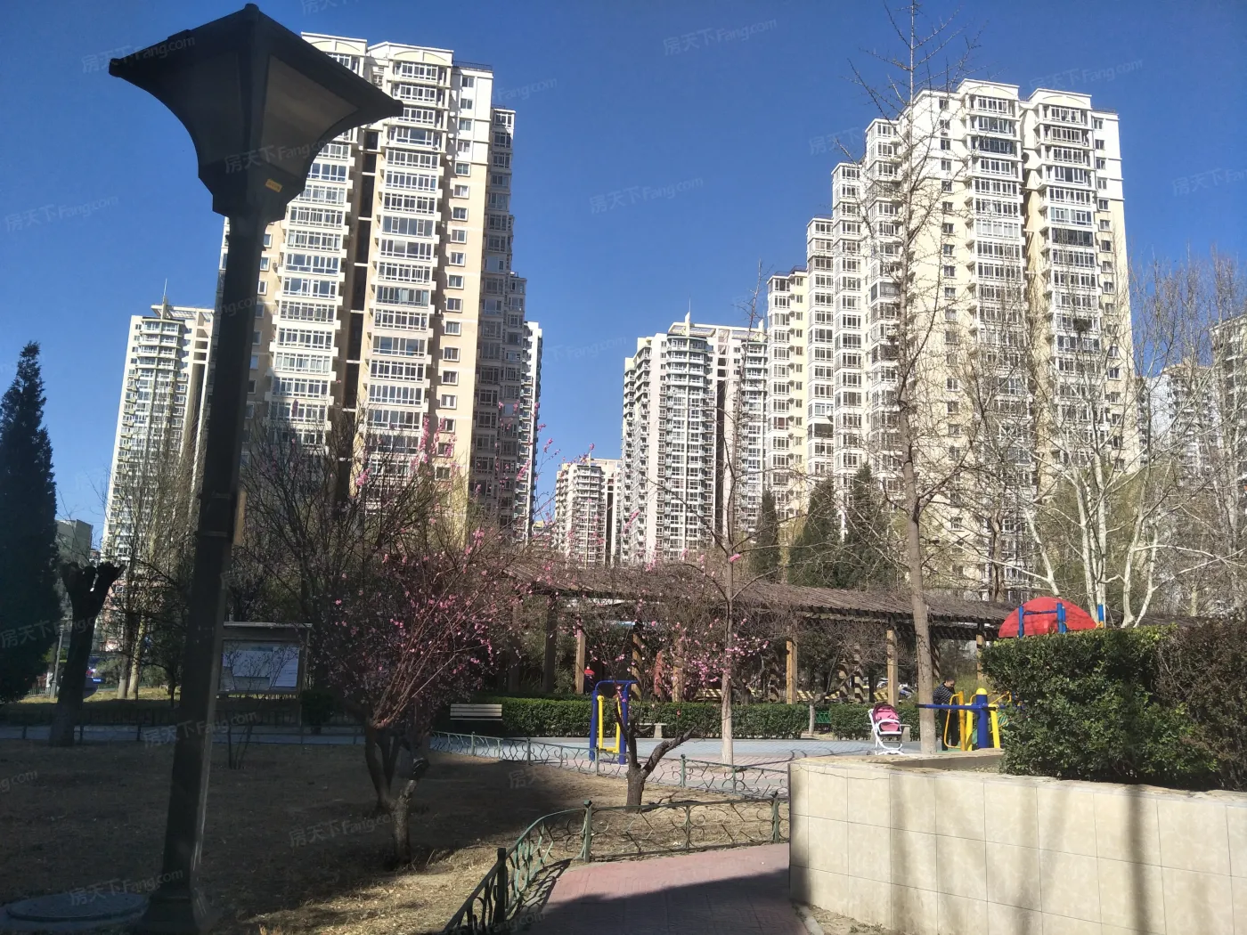 东三环南路2室1厅1卫东西朝向5900.00元/月出租