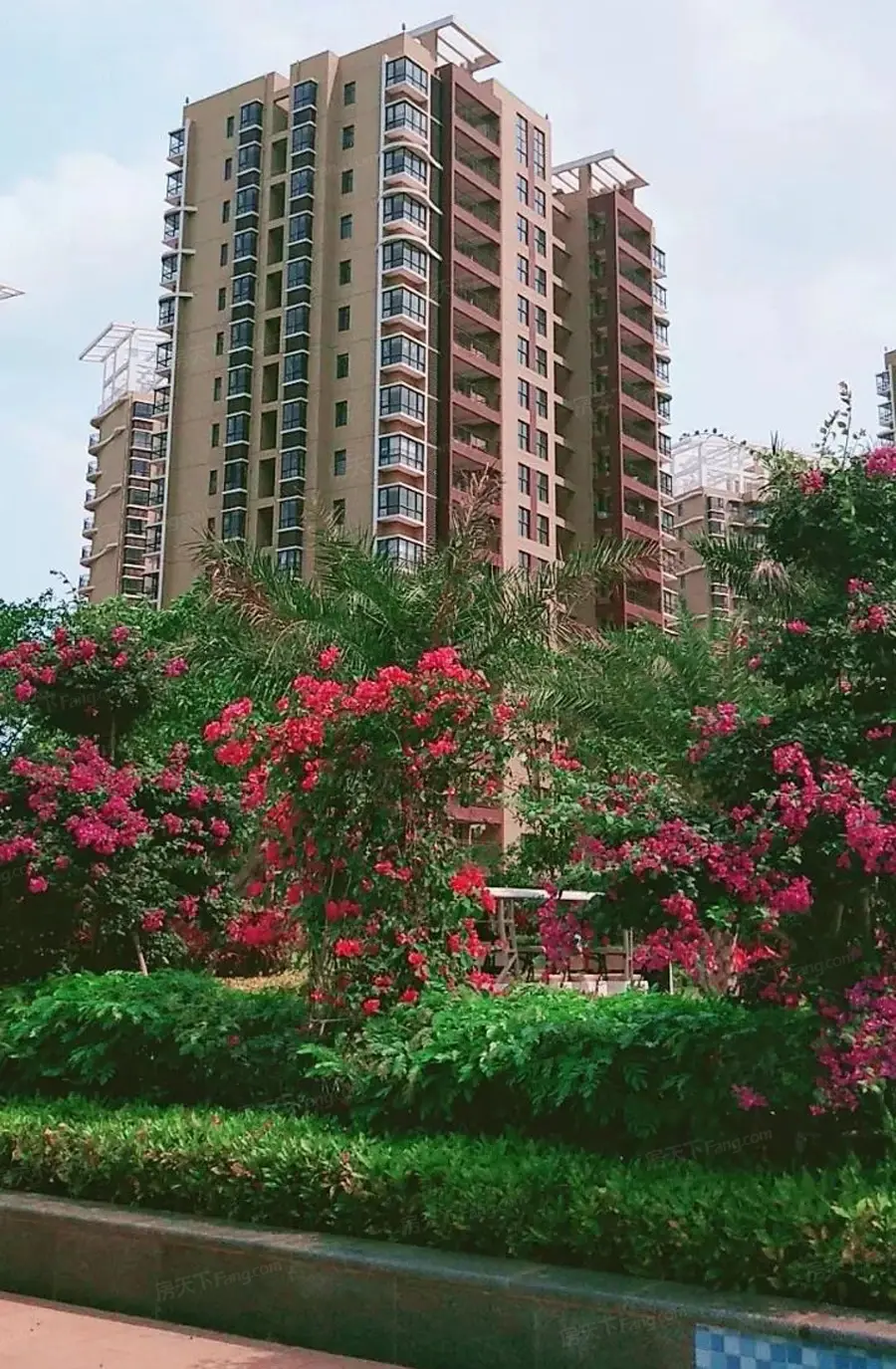 实景图:小区实景图