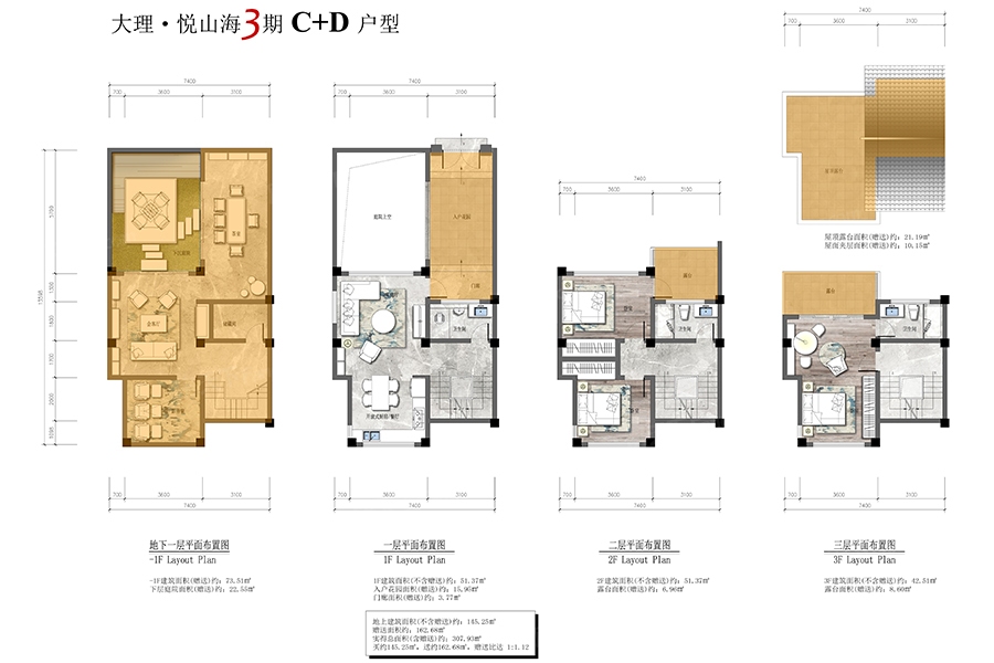 户型图:大理悦山海3期C+D户型