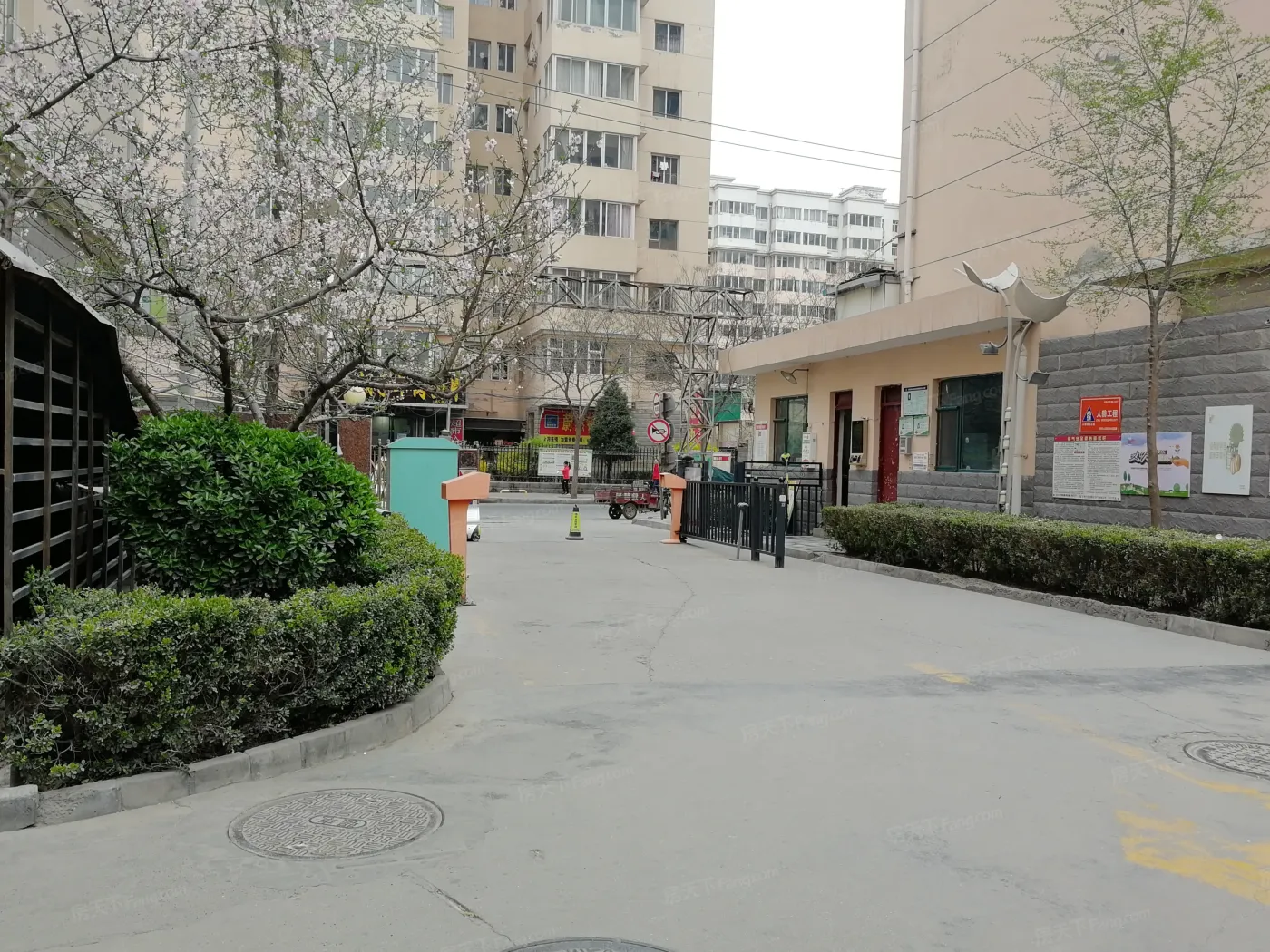 东岗世纪新村B区3室1厅1卫东南朝向1600.00元/月出租
