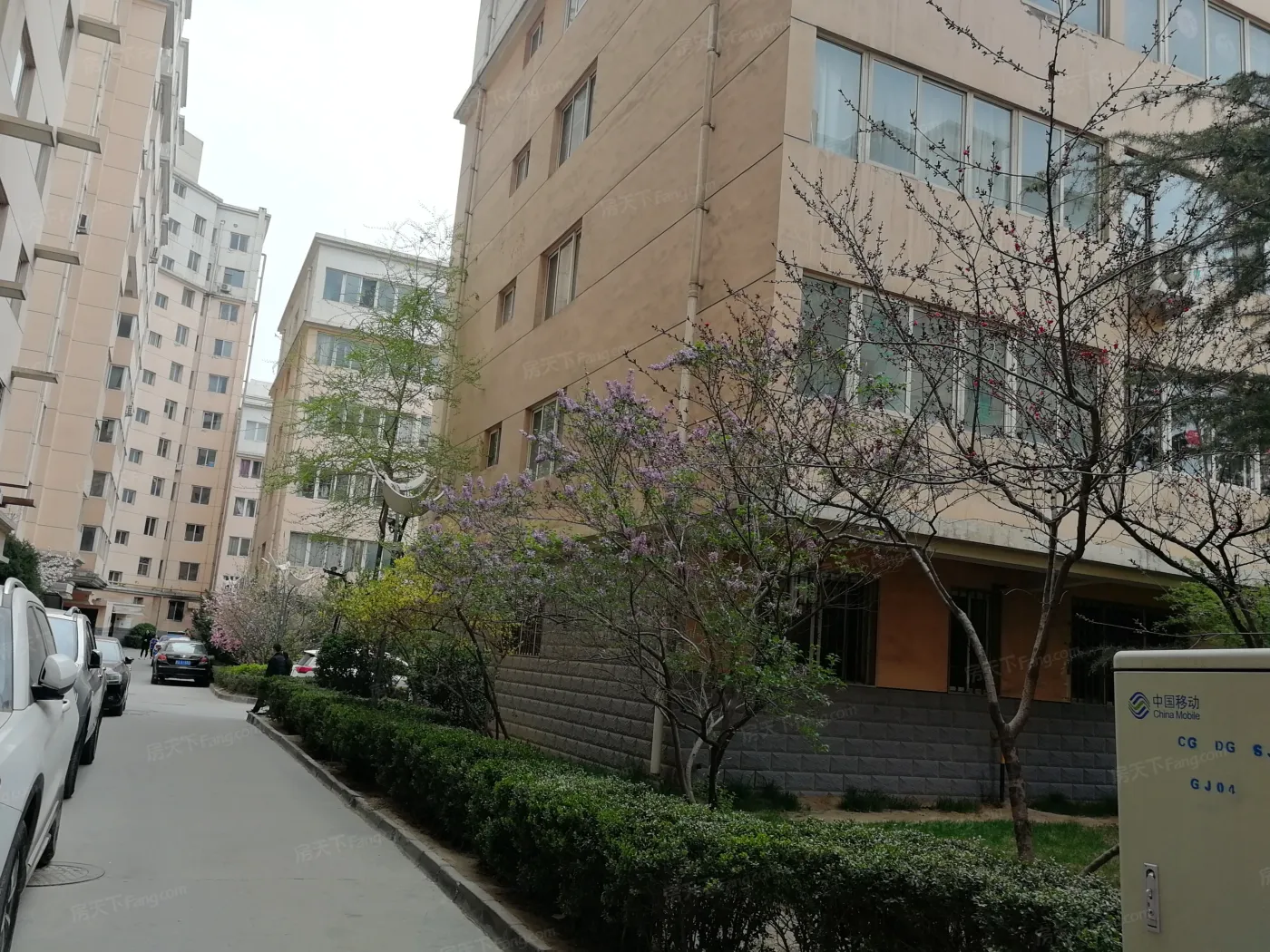东岗世纪新村B区2室1厅1卫南北朝向1300.00元/月出租