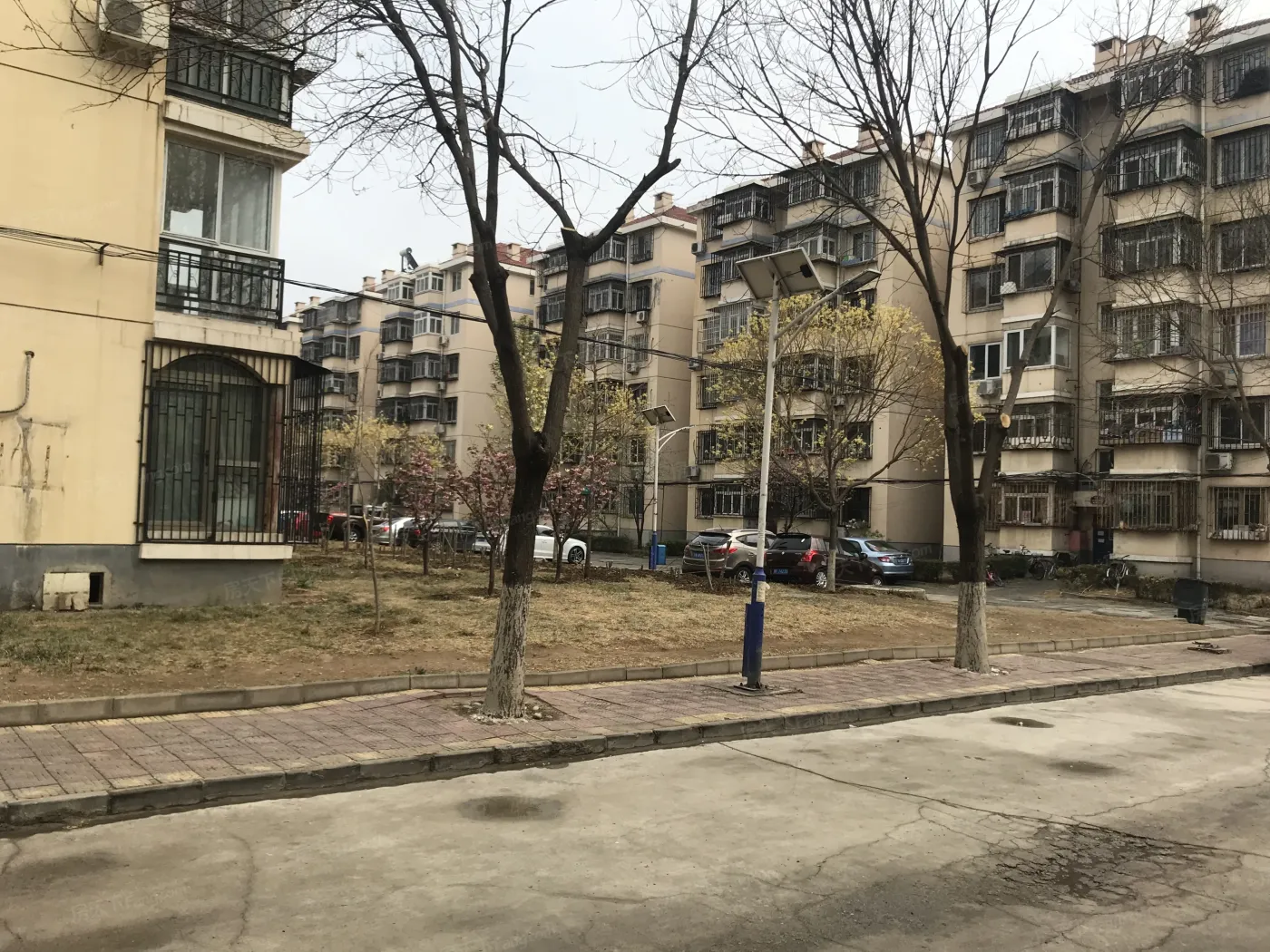 玉竹园2室1厅1卫南北朝向2900.00元/月出租