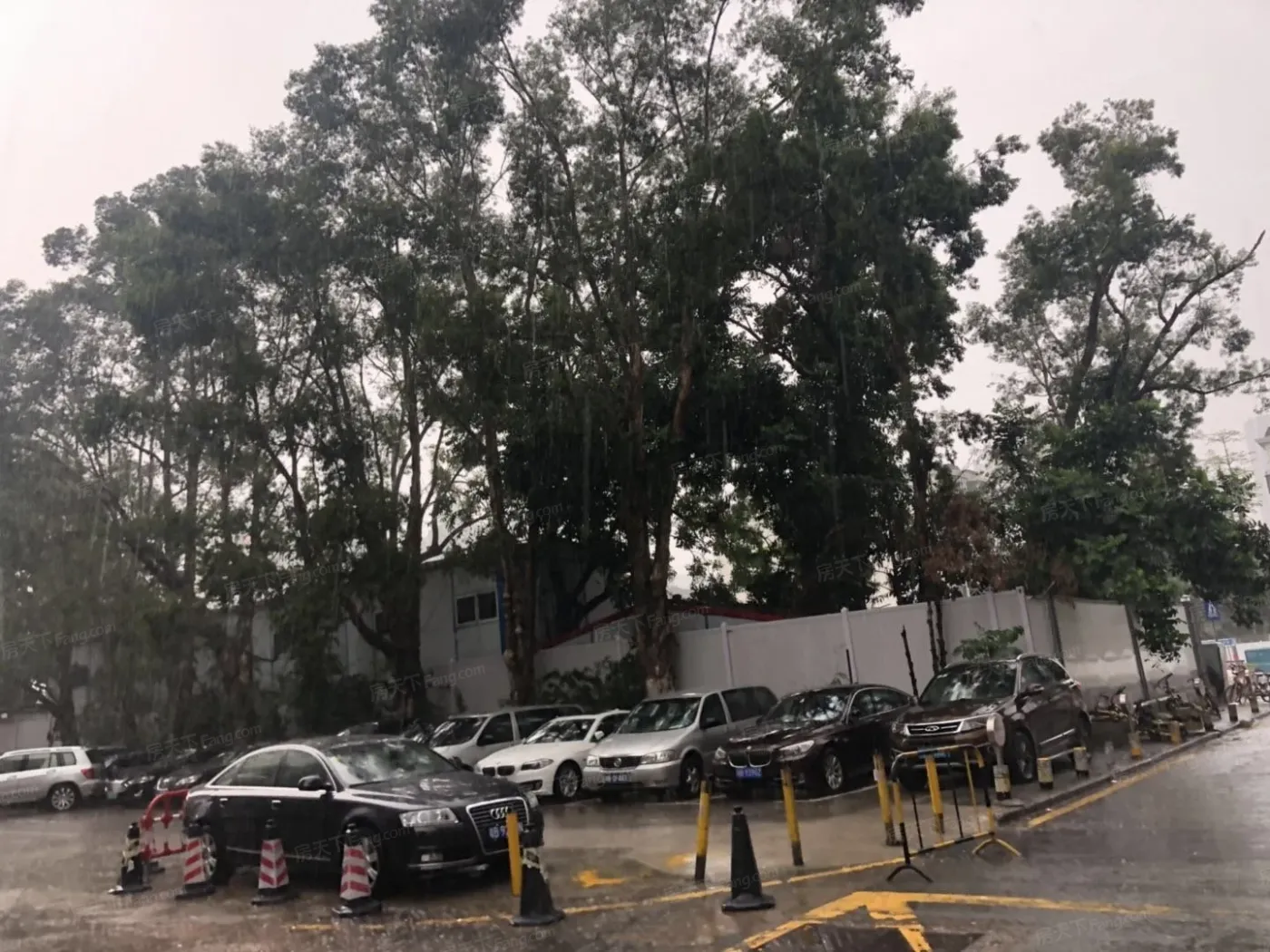 市总工会住宅3室1厅1卫南北朝向6800.00元/月出租