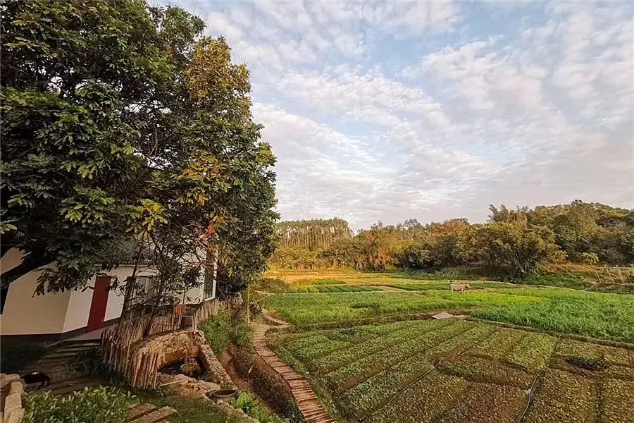 花样年家天下