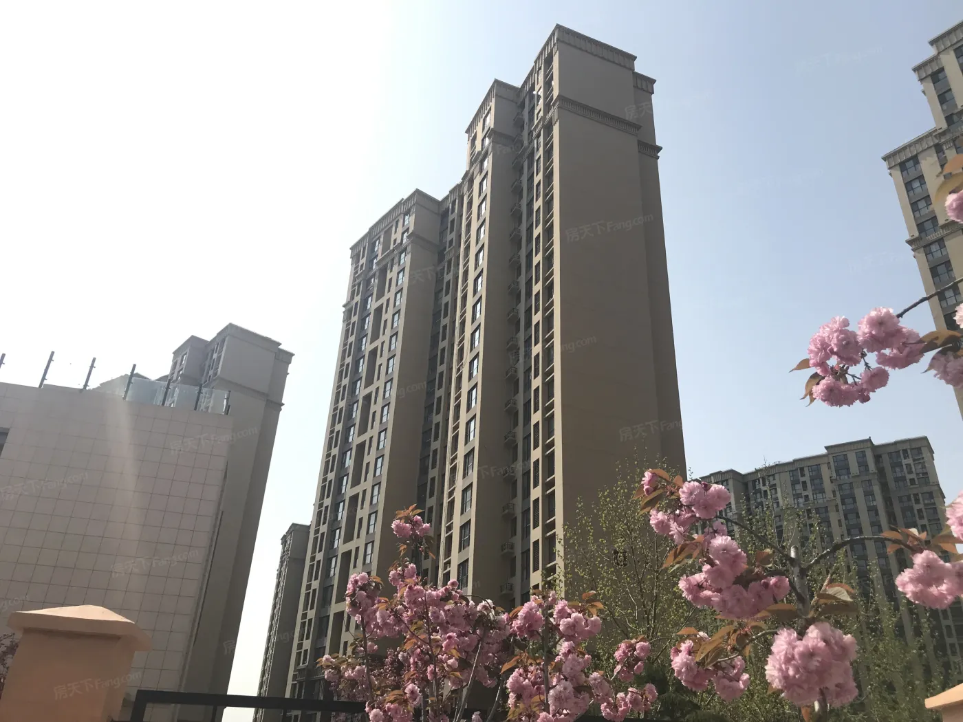 海尔鼎世华府2室2厅1卫南北朝向2650.00元/月出租