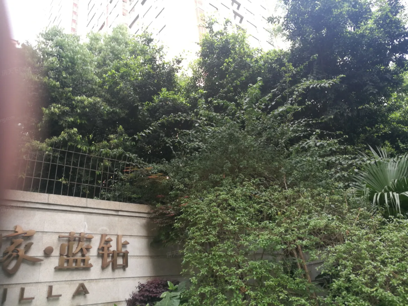 四海逸家蓝钻4室2厅3卫东南朝向5600.00元/月出租