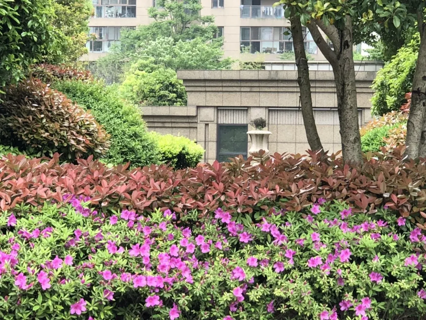 常发豪庭国际3室2厅2卫南朝向5000.00元/月出租