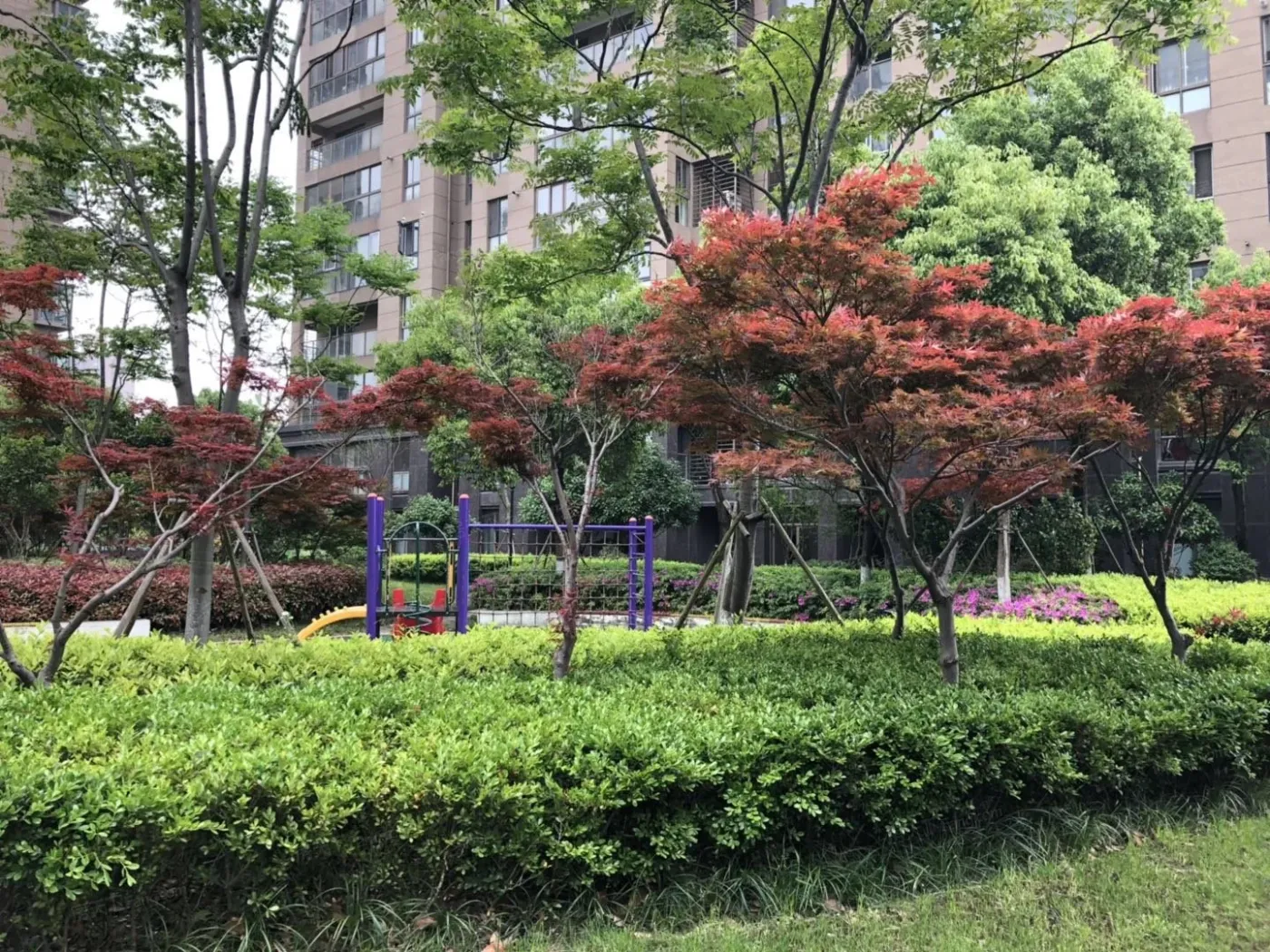 常发豪庭国际1室1厅1卫南朝向4000.00元/月出租