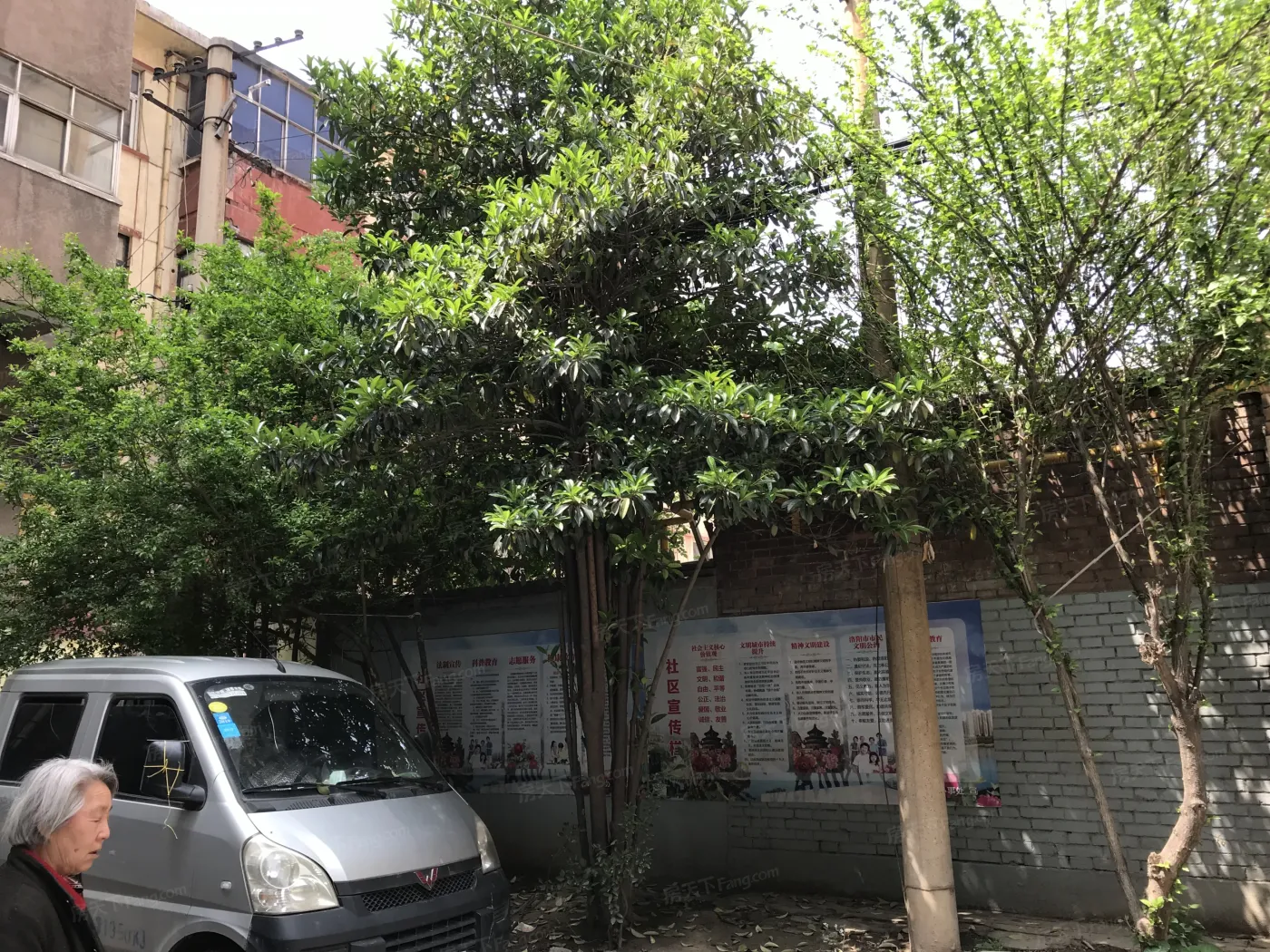健康西路24号院3室1厅1卫南朝向900.00元/月出租