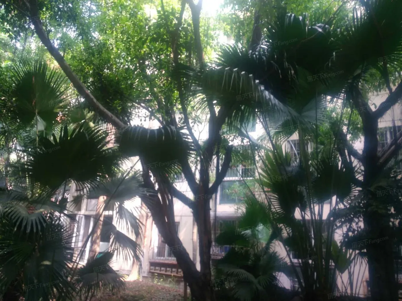 明珠怡园3室2厅2卫南北朝向3000.00元/月出租