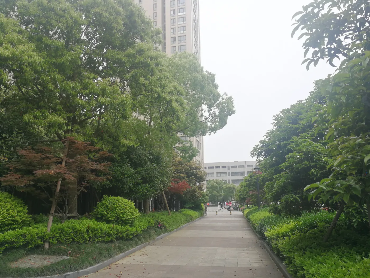 前程藏珑4室2厅2卫南朝向7500.00元/月出租