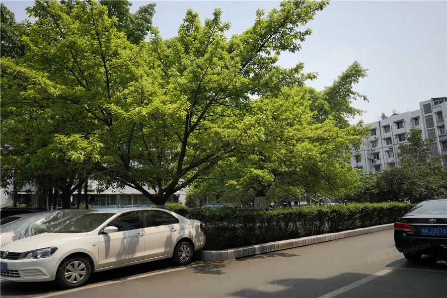 石油广都小区3室1厅1卫东朝向2100.00元/月出租