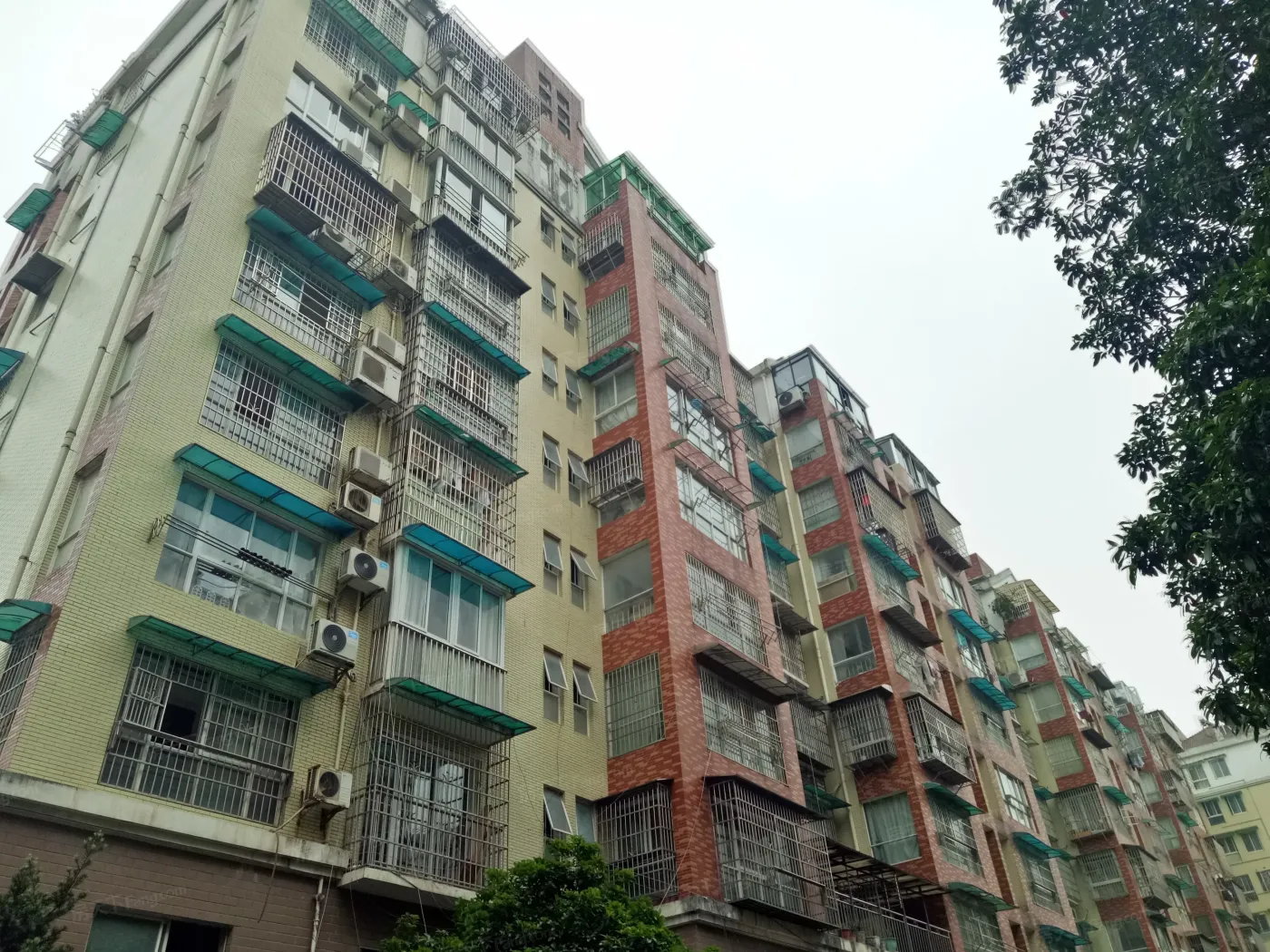 滨江美寓3室2厅1卫东朝向2000.00元/月出租