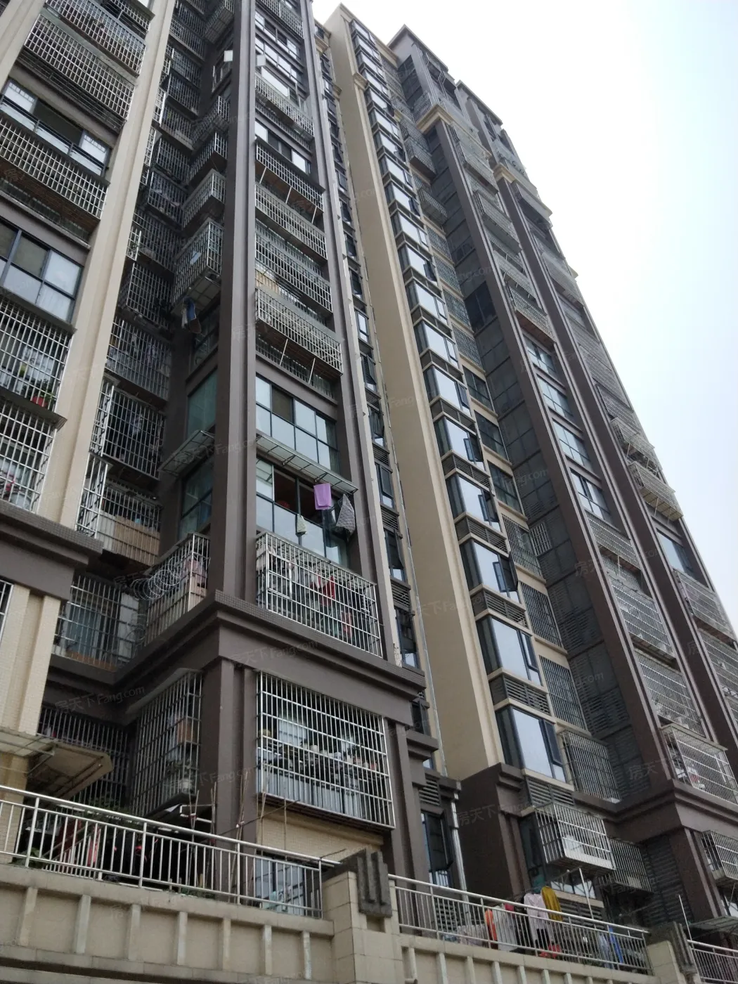 蜜立方1室1厅1卫东朝向1300.00元/月出租