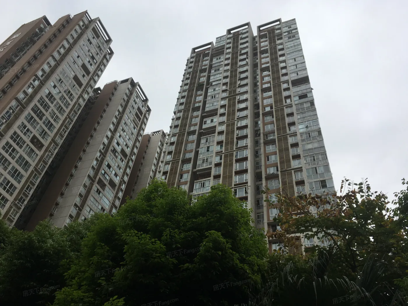 阳光欣园2室1厅1卫西南朝向2800.00元/月出租