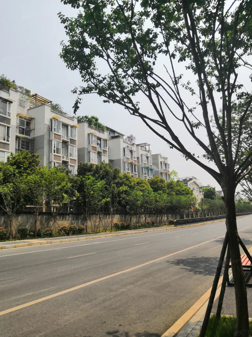 枫渡莱茵2室2厅1卫西朝向1800.00元/月出租