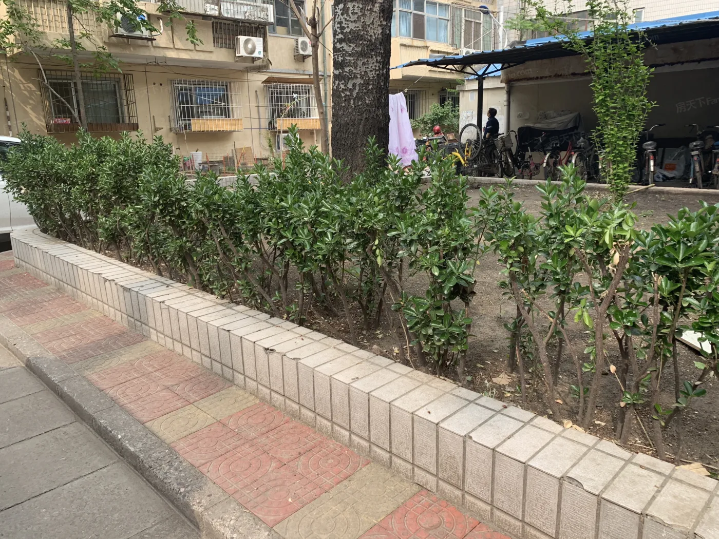 阜成门外大街甲40号院2室1厅1卫南北朝向9400.00元/月出租
