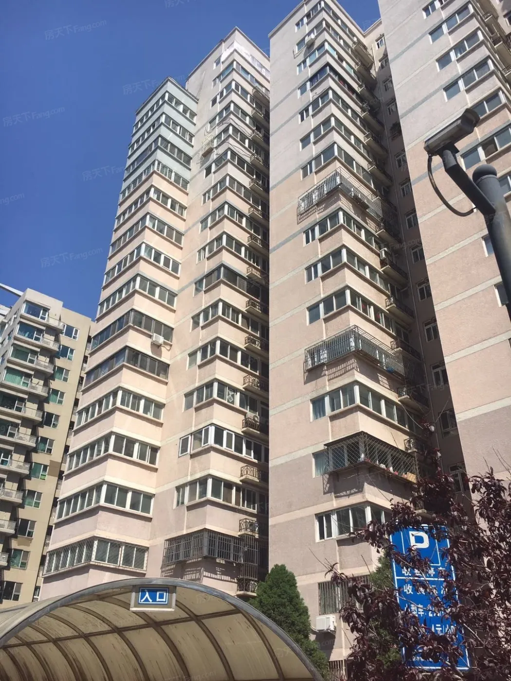 曙光花园望河园1室1厅1卫西南朝向5800.00元/月出租