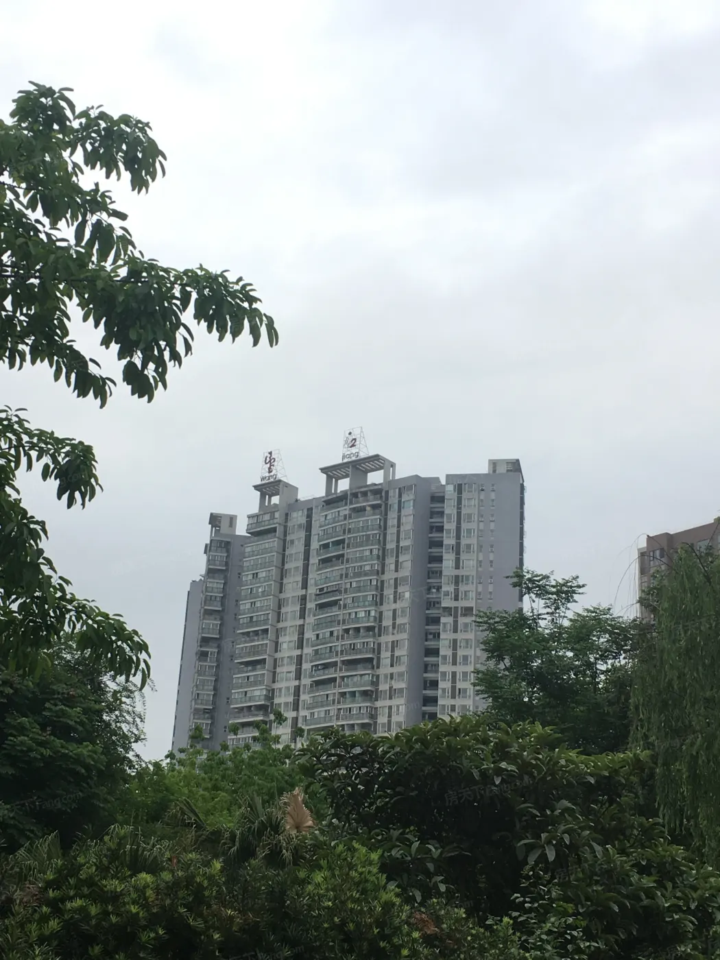 望江水岸2室1厅1卫北朝向3300.00元/月出租