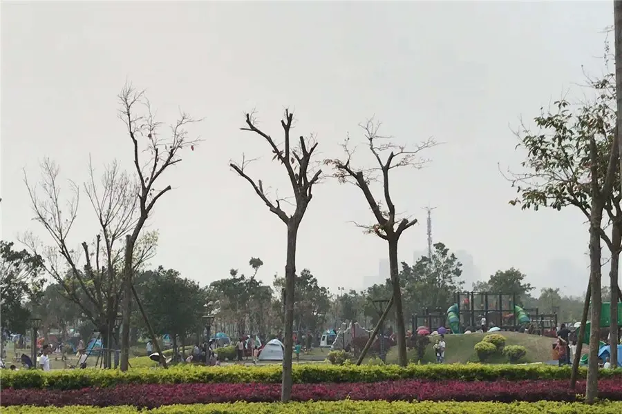 格力海岸