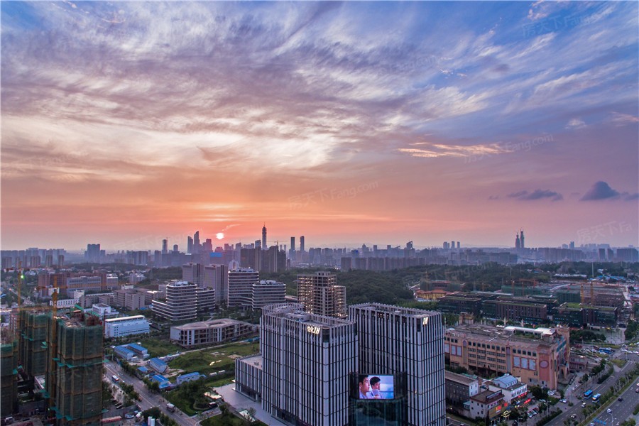 实景图:项目周边实景