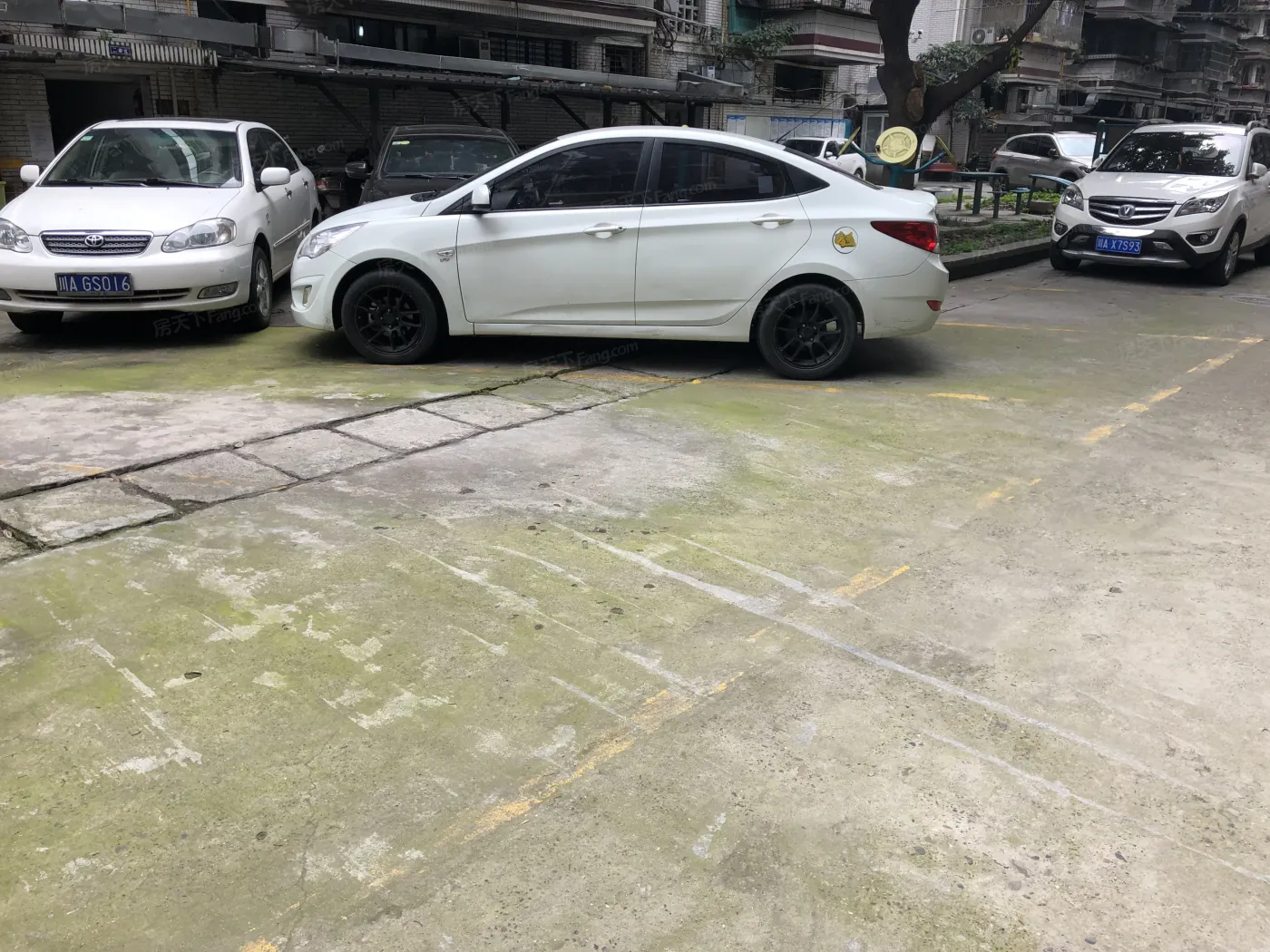 整租·玉洁巷12号 3室1厅 东南