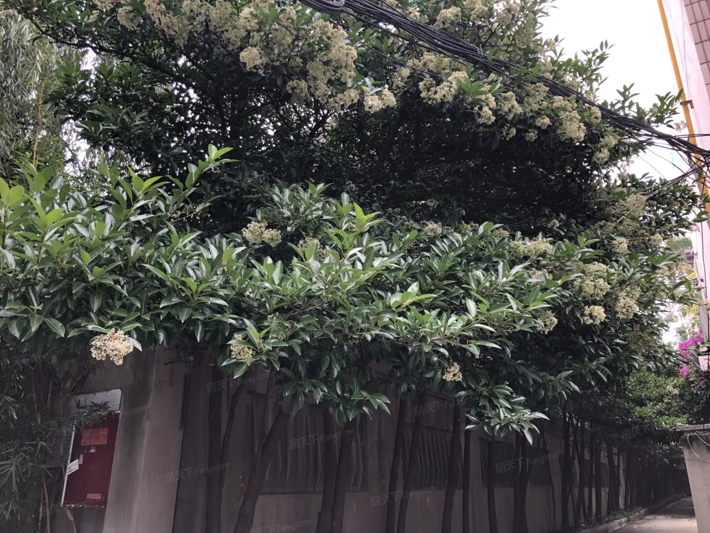 整租·玉林北路5号 3室1厅 南