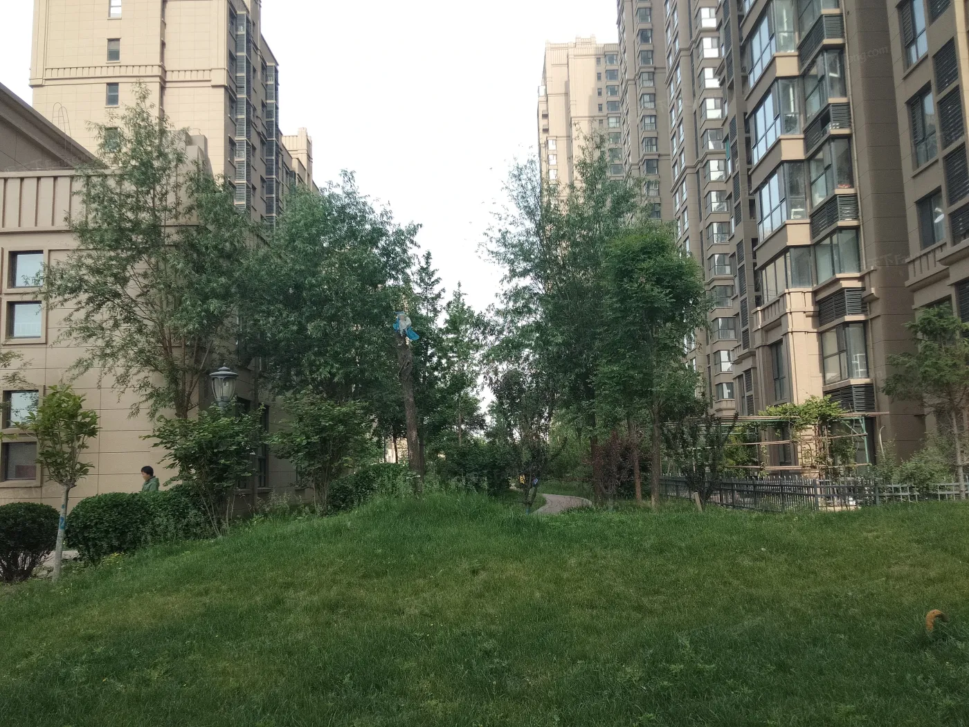 整租·哈罗城西区 3室2厅 南/北