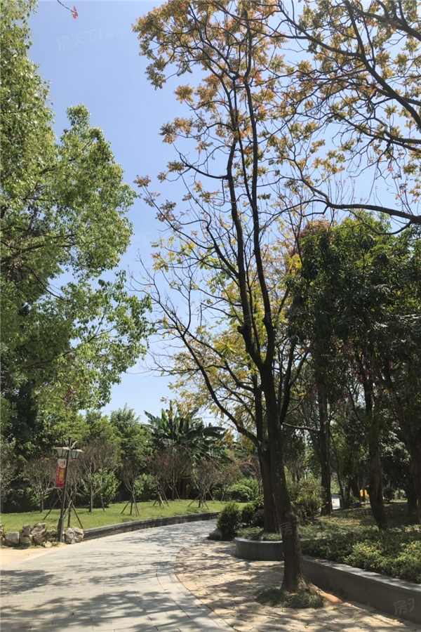 温泉壹号